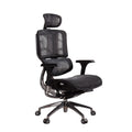 WPHOME LA-863 Ergonomic Office Chair