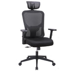 WPHOME LA-861 Ergonomic Office Desk Chair with Lumbar Support