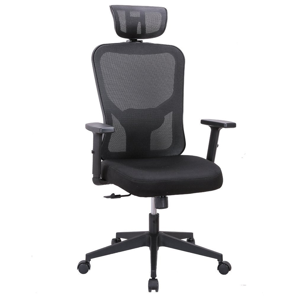 WPHOME LA-861 Ergonomic Office Desk Chair with Lumbar Support