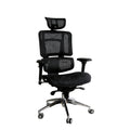 WPHOME LA-862 Ergonomic Office Chair