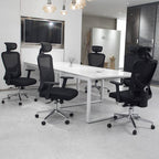WPHOME LA-861 Ergonomic Office Desk Chair with Lumbar Support