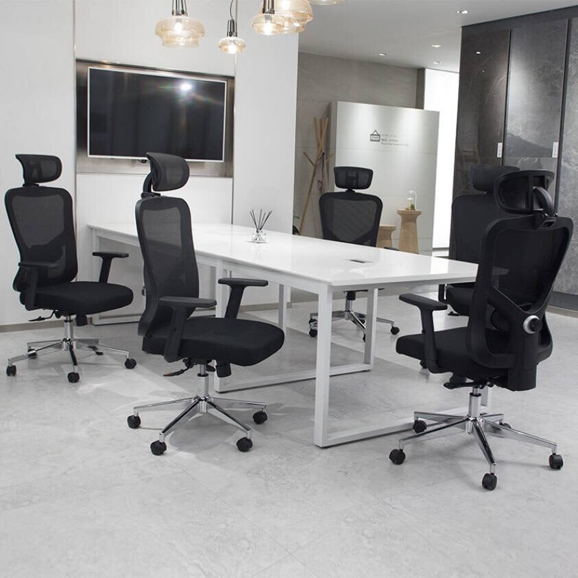 WPHOME LA-861 Ergonomic Office Desk Chair with Lumbar Support