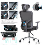 WPHOME LA-861 Ergonomic Office Desk Chair with Lumbar Support