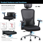WPHOME LA-861 Ergonomic Office Desk Chair with Lumbar Support