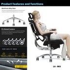 WPHOME LA-863 Ergonomic Office Chair
