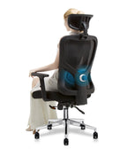 WPHOME LA-861 Ergonomic Office Desk Chair with Lumbar Support