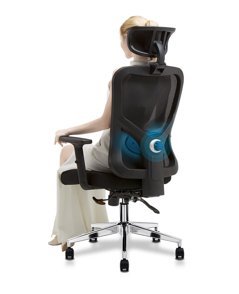 WPHOME LA-861 Ergonomic Office Desk Chair with Lumbar Support